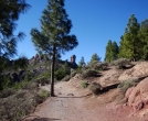 Гран Канария. Начало пешеходного подъема на Roque Nublo.